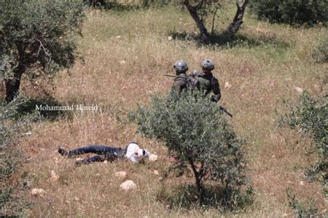 Fotos La Sangrienta Persecución De Soldados Israelíes A Un Adolescente