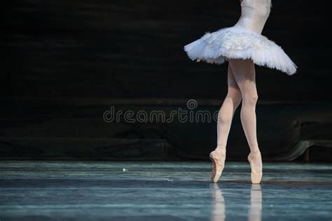 Swan Lake ballet stock image. Image of balance, hand - 206856169