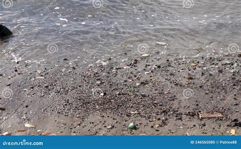 Littered Beach In Usa Atlantic Ocean Pollution Sandy Beach Covered By