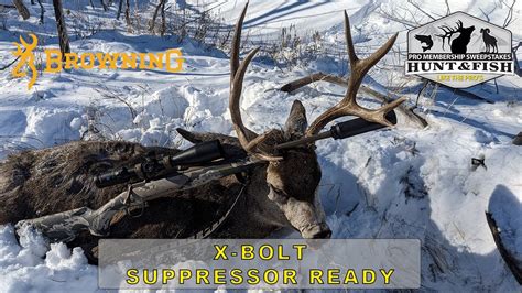 Browning X Bolt Suppressor Ready Youtube