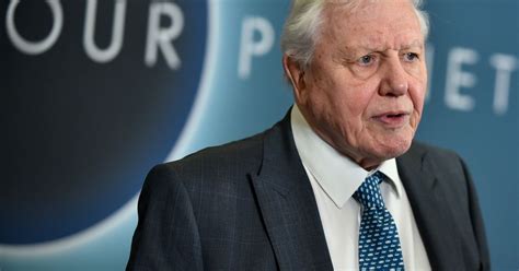 David Attenborough, the voice of Netflix’s Our Planet: “Things are ...