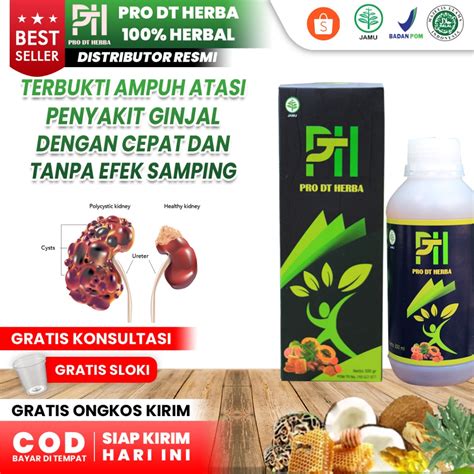 Jual Obat Ginjal Ampuh Obat Gagal Ginjal Obat Infeksi Ginjal Isk