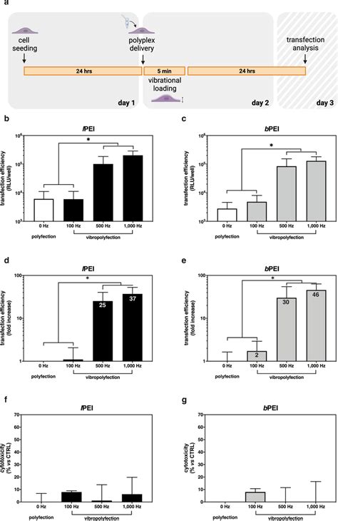 Comparative Transfection Efficiencies And Cytotoxicities Of Lpei Pdna