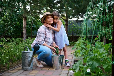 Faire Un Potager D Butant Le Guide Ultime Pour Les D Butants