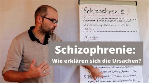 Schizophrenie Krankheitsursachen und Symptome Wie erklären sich