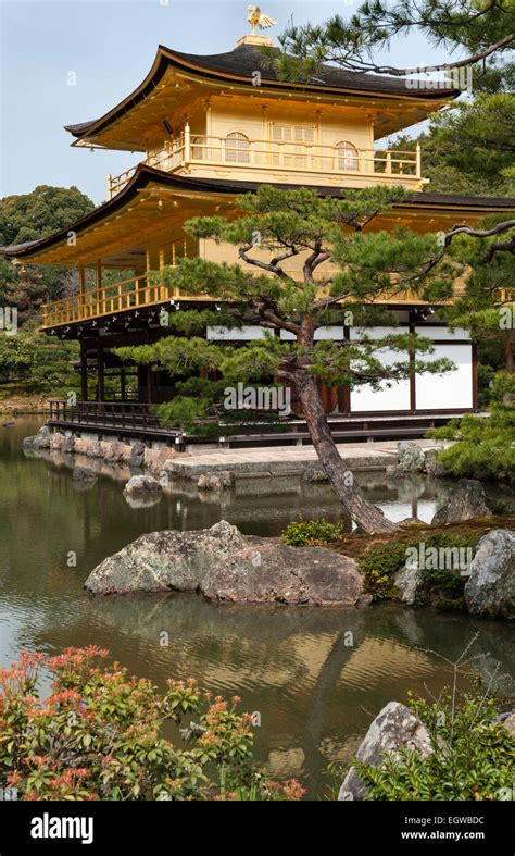 Kyoto, Japan. The gardens of Kinkaku-ji temple (the Golden Pavilion). Spring Stock Photo - Alamy