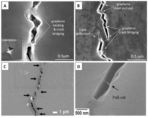 Sem Images Showing Various Mechanism Of Crack Propagation A