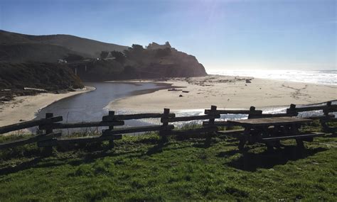 San Gregorio State Beach | Coastside State Parks Association
