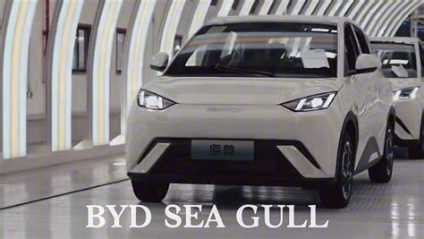 Byd Seagull Mini Ev New Energy Vehicle Km Range Seater Pure