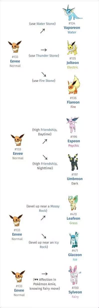 Cara Menggambar Pokemon Eevee Coloring IMAGESEE