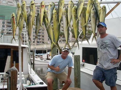 Fort Lauderdale Share A Fishing Charter Fort Lauderdale Deep Sea