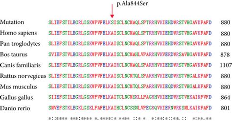 Sequence Chromatograms Conservation Analysis Of Wfs1 A Chromatograms