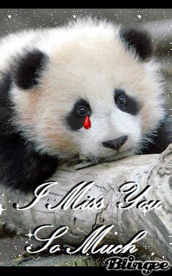 Sad Panda GIF - Find & Share on GIPHY