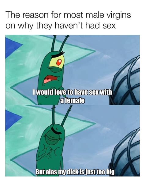 Reason Why I Dont Have Sex R Spongebobmemes