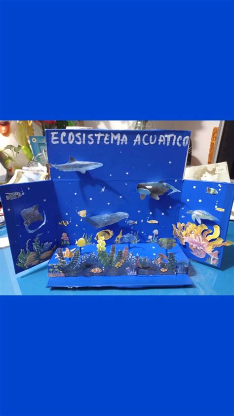 Maqueta Del Ecosistema Acuatico Maquetas De Ecosistemas Maqueta