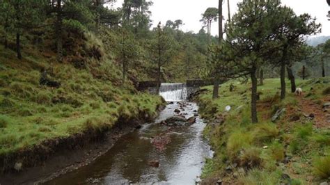 Parque Nacional Cumbres del Ajusco, Tlalpan | Mexico City