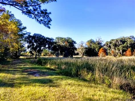 Best Hikes And Trails In Edisto Beach State Park AllTrails