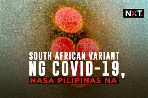 South African Variant Ng Covid Nasa Pilipinas Na Abs Cbn News