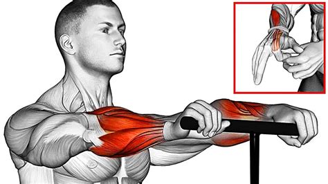 The Perfect Forearm Workout 3 Best Exercises Fitness YouTube