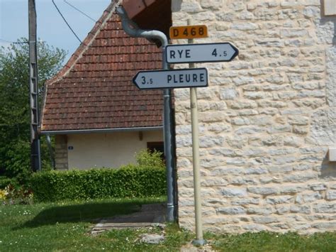 Rire ou pleurer Le jardin de Cruik Les fleurs les légumes