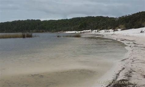 Fraser Island Camping: Camping on Fraser - All About Fraser