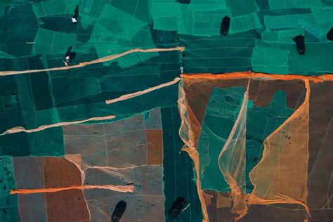 Earth From Above Yann Arthus Bertrand S Photos