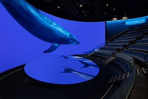 Films & Shows | Aquarium Exhibits | Aquarium of the Pacific