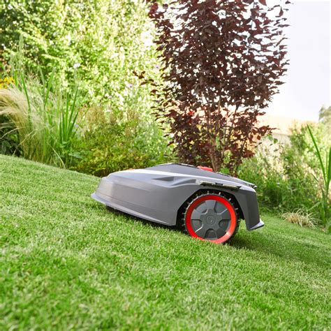 AL KO Mähroboter Robolinho 350W AL KO Gardentech