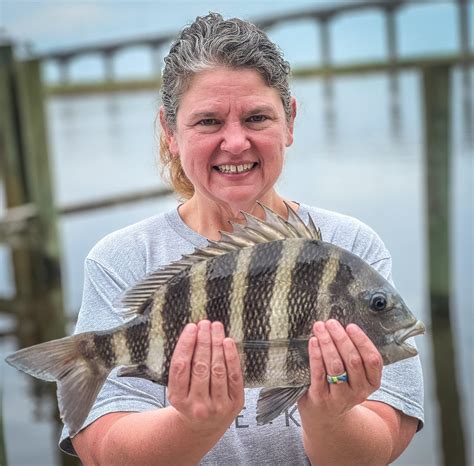 Conservation efforts for future sheepshead populations 24