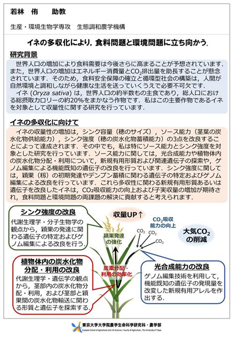 若林 侑 東京大学大学院農学生命科学研究科・農学部