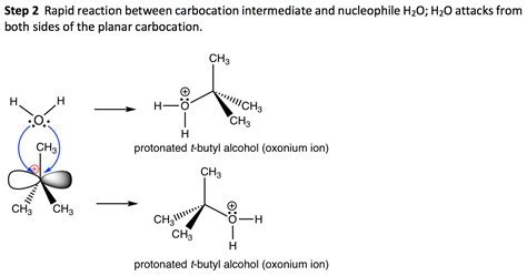 Sn Reaction Mechanisms Energy Diagram And Stereochemistry