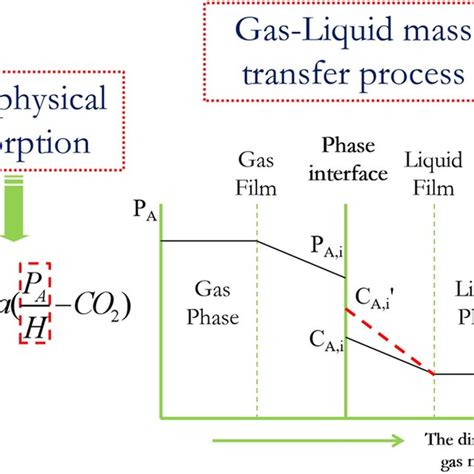 The Schematic Diagram Of Double Membrane Mass Transfer Theory Nco2