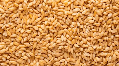 Abstract Texture Background Top View Of Organic Uncooked Pearl Barley