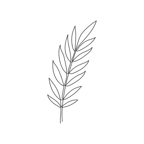 Premium Vector | Line bay laurel leaf branch art one continuous line