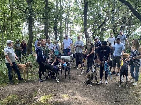 Accolade Hounds Walks added a new... - Accolade Hounds Walks