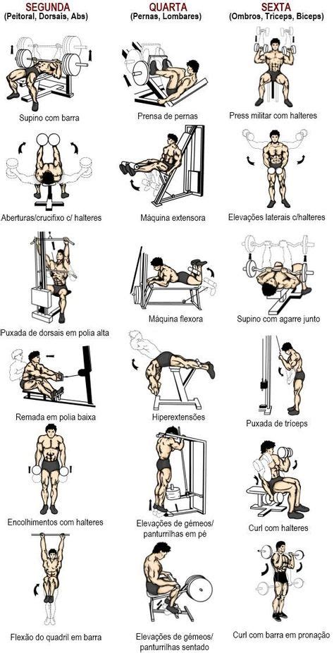 22 Ideias De Treinos De Musculação Treinos De Musculação Musculação Exercícios De Musculação