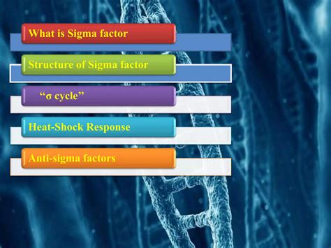 role  sigma factorpptx