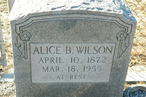 Alice Branham Wilson 1872 1955 Find A Grave Memorial Grave