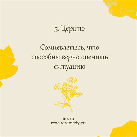 КАТАЛОГ ТОВАРОВ — BFR Organic