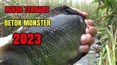 Rekor Jum Mancing Betok Monster Di Rawa Yang Tak Terjamah Manusia