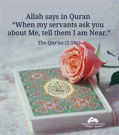 beautiful collection   holy quran quotes verses artofit