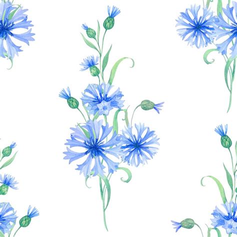 Premium Photo Cornflowers Seamless Watercolor Pattern With Blue