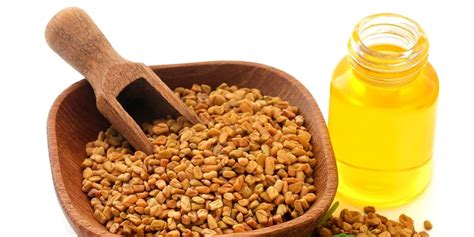 Fenugreek Oil For Hair Benefits How To Use And Side Effects