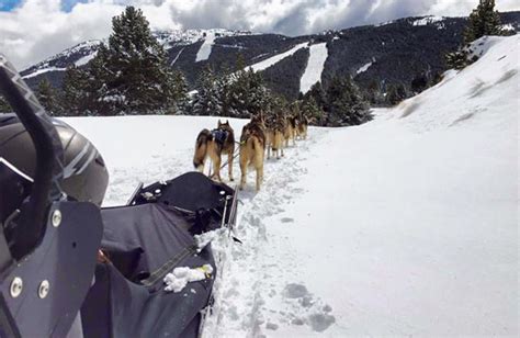 Cau de Llops Mushing Ajuntament de la Vansa i Fórnols