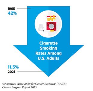 Executive Summary Aacr Cancer Progress Report