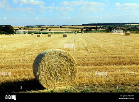 Norfolk Agricultural Landscape Round Straw Bales Post Harvest Stock