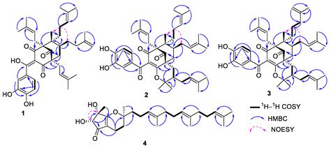 Molecules Free Full Text Constituents Of The Stem Bark Of Symphonia