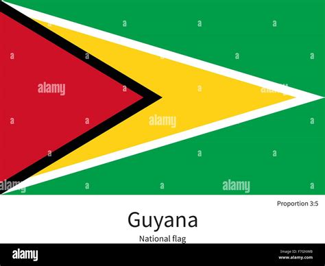 La bandera nacional de Guyana, con las proporciones correctas, elemento ...