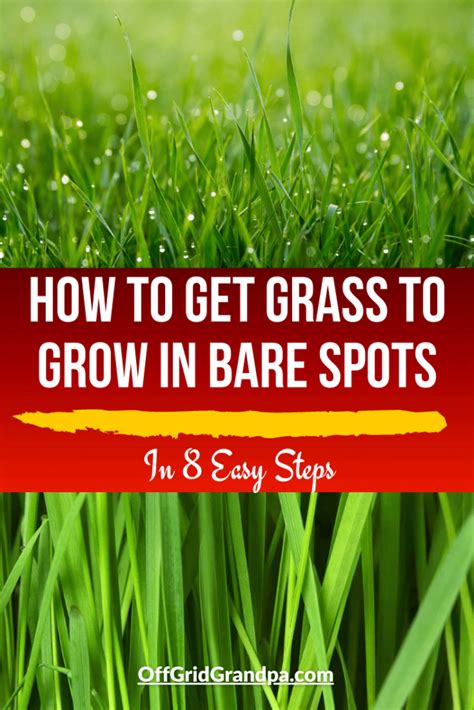 How To Get Grass To Grow In Bare Spots In 8 Easy Steps Off Grid