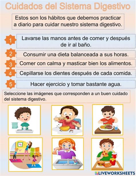 Cuidados sistema digestivo worksheet Sistema digestivo para niños